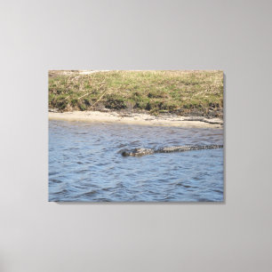 Toile Alligator Sauvage au Bord de la Rivière – Faune de