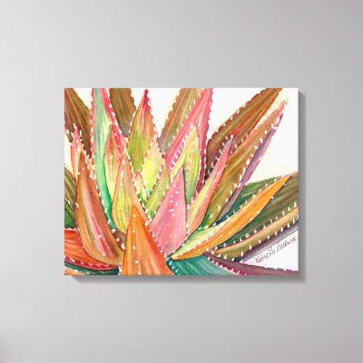 Toile Aloe nobilis aquarelle par Debra Lee Baldwin (Recto)