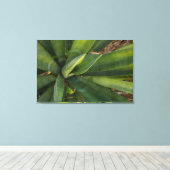 Toile Aloe Vera (Insitu (Plancher de Bois))