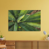 Toile Aloe Vera (Insitu(Salon))