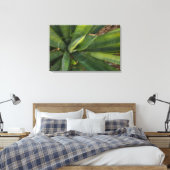 Toile Aloe Vera (Insitu(Chambre))