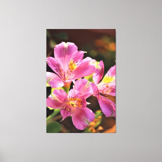 Toile Alstroemeria Lilly Étonnant Floral Gras Rose (Recto)