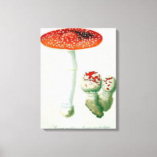 Toile Amanita Muscaria de 'Phytographie Medicale' de J