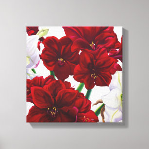 Toile Amaryllis rouge et blanc 2008