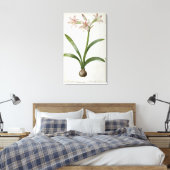 Toile Amaryllis Vittata (Insitu(Chambre))