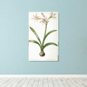 Toile Amaryllis Vittata (Insitu (Plancher de Bois))