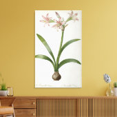 Toile Amaryllis Vittata (Insitu(Salon))