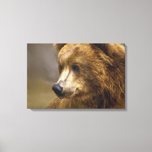 Toile Amateurs Brown d'ours (Recto)