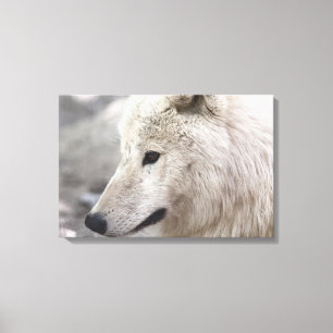 Toile Amateurs de loups de l'Arctique
