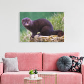 Toile américaine enrobée de vison (Insitu(Salon))