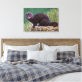 Toile américaine enrobée de vison (Insitu(Chambre))