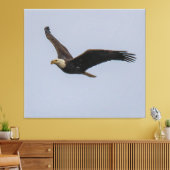 Toile American Bald Eagle In Flight (Insitu(Salon))