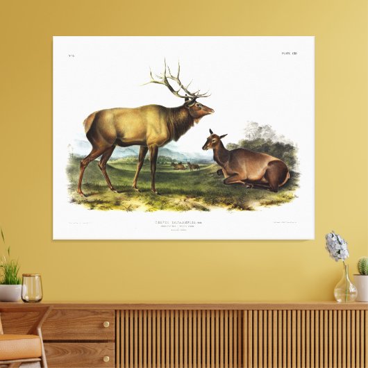 Toile American Elk ou Wapiti Deer par Audubon (Insitu(Salon))