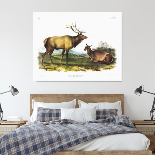 Toile American Elk ou Wapiti Deer par Audubon (Insitu(Chambre))
