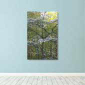 Toile American Flower Dogwood Tree - Cornus florida (Insitu (Plancher de Bois))