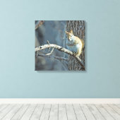 Toile American Red Squirrel - Photographie de la faune (Insitu (Plancher de Bois))