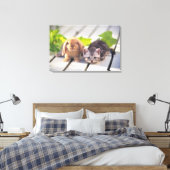 Toile American Shorthair ; est le plus populaire et le p (Insitu(Chambre))