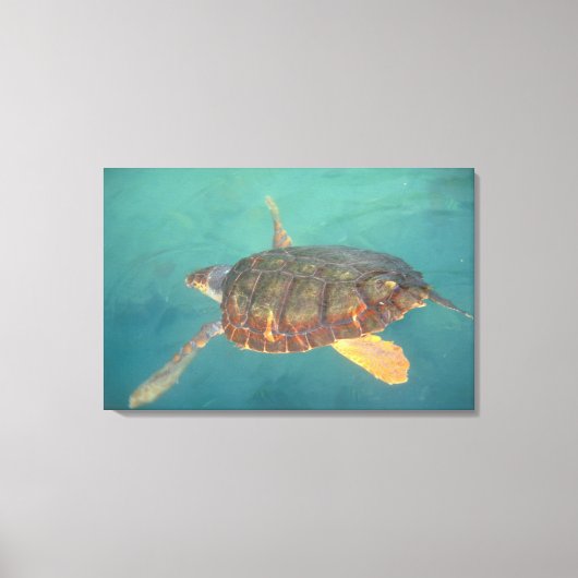 Toile Amérique centrale, Panama, Bocas Del Torro (Recto)