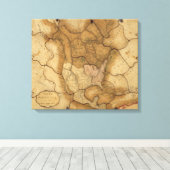 Toile Amérique du Nord 20 (Insitu (Plancher de Bois))