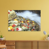 Toile Amérique du Nord, États-Unis, NH, Fall en Nouvelle (Insitu(Salon))