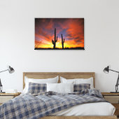 Toile Amérique du Nord, USA, Arizona, désert de Sonoran. (Insitu(Chambre))