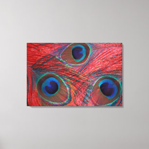 Toile Amérique du Nord, USA, WA, Redmond, Peacock