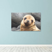 Toile Amérique du Sud, Équateur, îles Galapagos (Insitu (Plancher de Bois))