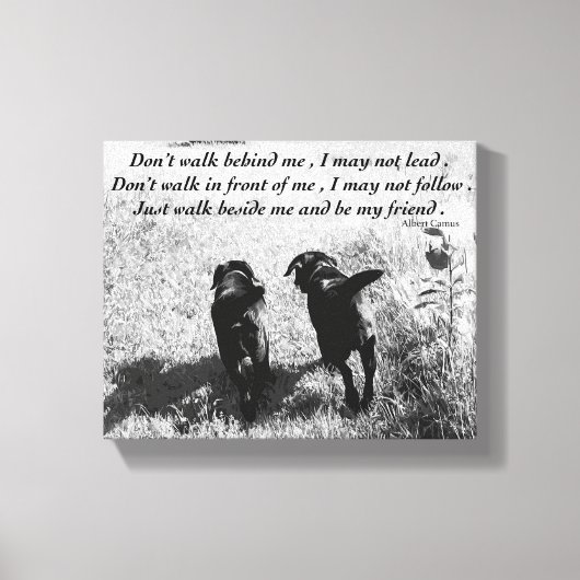 Toile Amis - Black Lab (Recto)