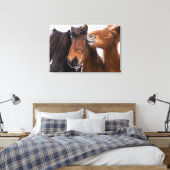 Toile Amis du cheval islandais, Islande (Insitu(Chambre))
