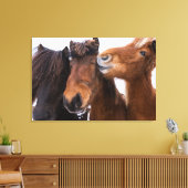 Toile Amis du cheval islandais, Islande (Insitu(Salon))