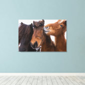 Toile Amis du cheval islandais, Islande (Insitu (Plancher de Bois))