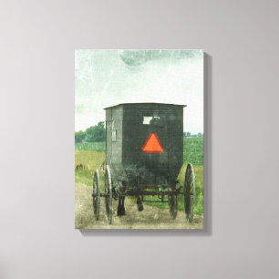 Toile Amish