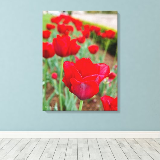 Toile Ampoules d'échappement, gros plan (Insitu (Plancher de Bois))