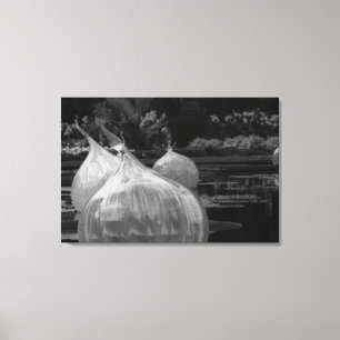 Toile Ampoules flottantes en verre