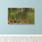 Toile Anahinga dans les Everglades (Insitu (Plancher de Bois))