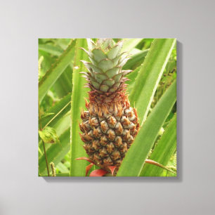 Toile Ananas sauvage Fruit tropical dans la nature