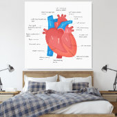 Toile Anatomie cardiaque (Insitu(Chambre))