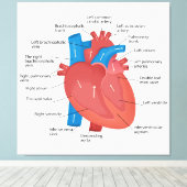 Toile Anatomie cardiaque (Insitu (Plancher de Bois))