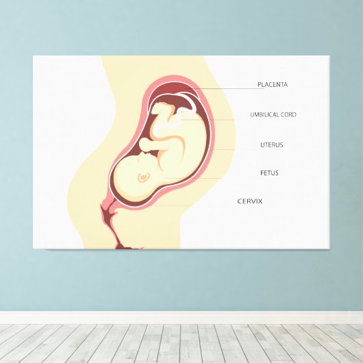 Toile Anatomie de grossesse (Insitu (Plancher de Bois))