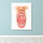 Toile Anatomie De La Cavité De La Bouche Humaine (Insitu (Plancher de Bois))