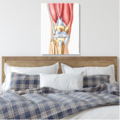 Toile Anatomie De La Joint Du Genou Humain (Insitu(Chambre))