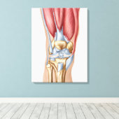 Toile Anatomie De La Joint Du Genou Humain (Insitu (Plancher de Bois))