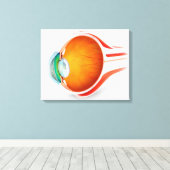 Toile Anatomie De L'Oeil Humain, Perspective (Insitu (Plancher de Bois))