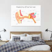 Toile Anatomie de l'oreille humaine (Insitu(Chambre))