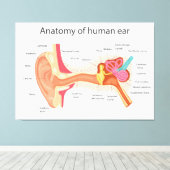 Toile Anatomie de l'oreille humaine (Insitu (Plancher de Bois))