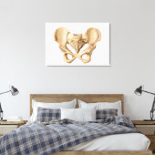 Toile Anatomie De L'Os Pelvique Humain 1 (Insitu(Chambre))