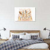 Toile Anatomie De L'Os Pelvique Humain Et Ligaments (Insitu(Chambre))