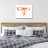 Toile Anatomie De L'Utérus Féminin 1 (Insitu(Chambre))