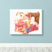 Toile Anatomie Des Armes Salivaires Humaines (Insitu (Plancher de Bois))