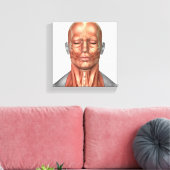 Toile Anatomie Des Muscles Du Visage Et Du Cou Humains, (Insitu(Salon))